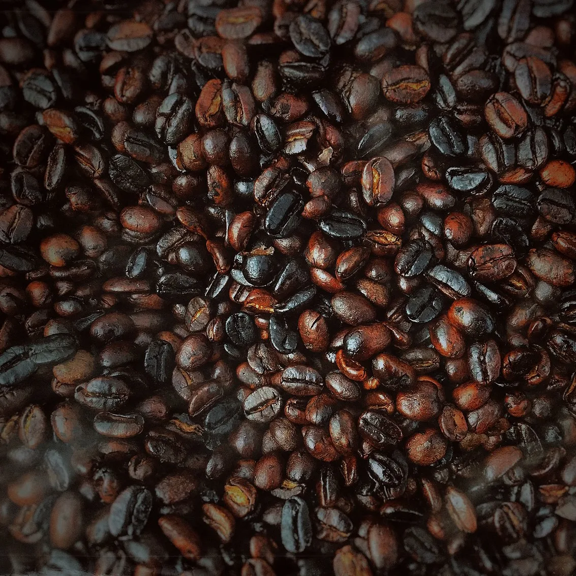 Organic Timor - Dark Roast